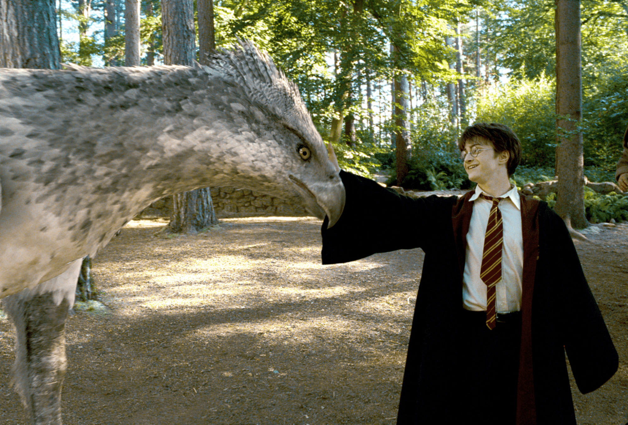 harry potter movie marathon 2025