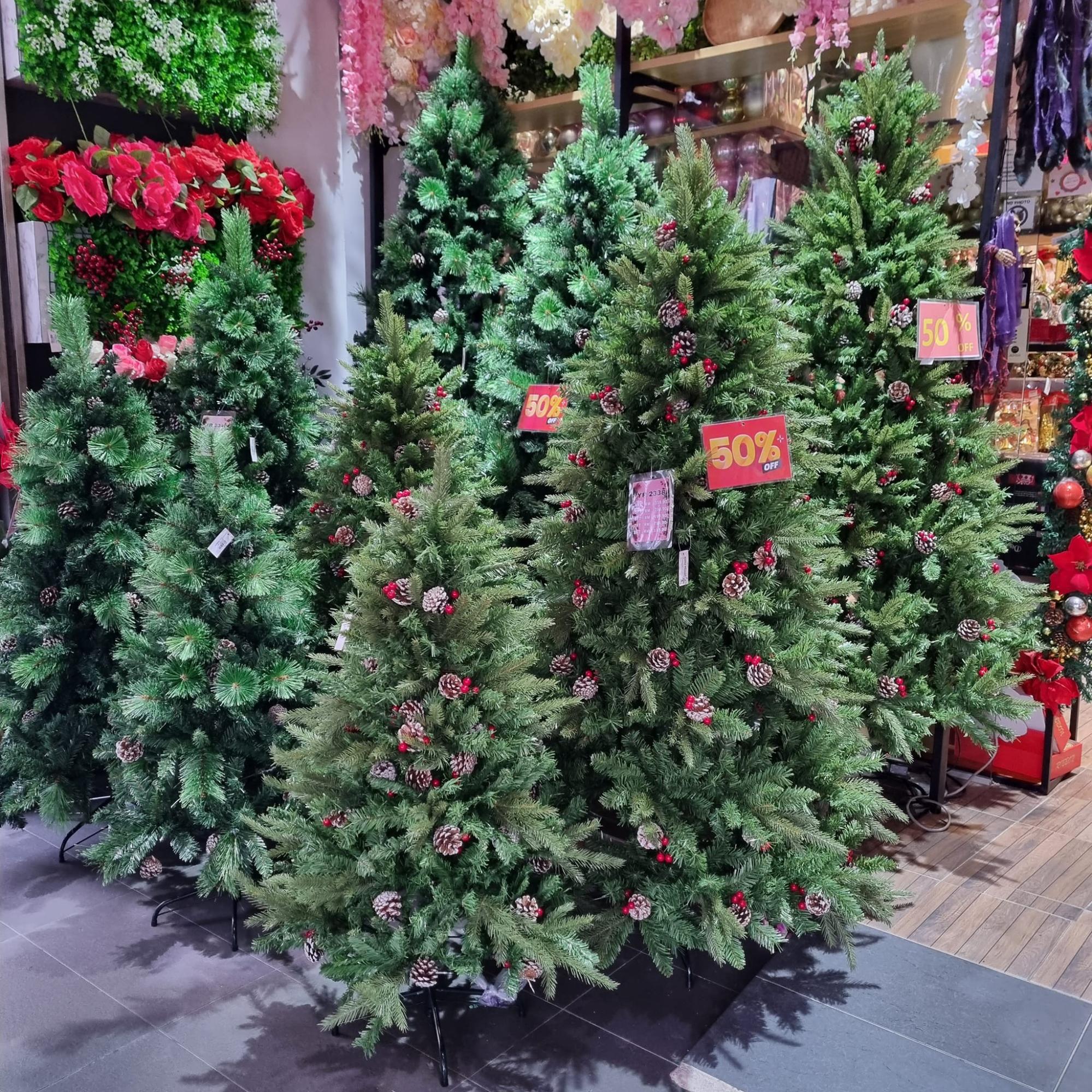 Hello Planet & Sasha - Christmas trees in Malaysia