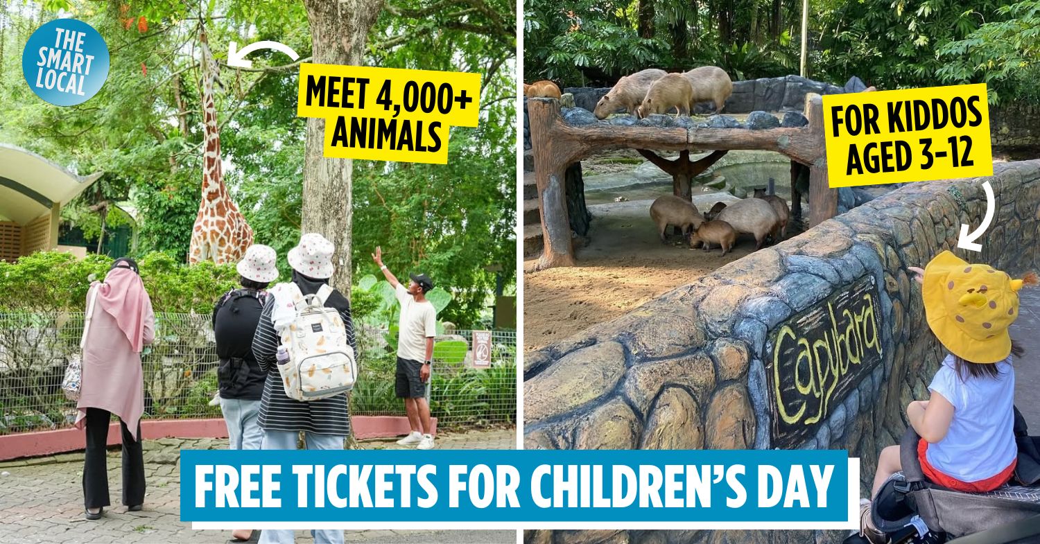 Zoo Negara Offers Free Tickets For Kids To Celebrate Children’s Day, Just Walk In To Claim