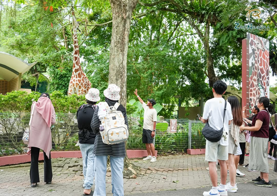 ZOO NEGARA FREE TICKETS CHILDREN'S DAY - GIRAFFE