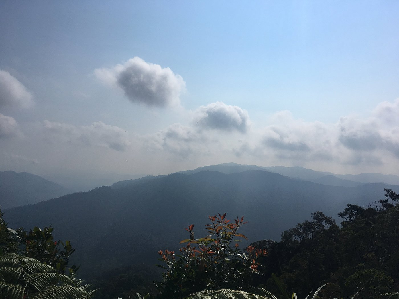 negeri sembilan activities