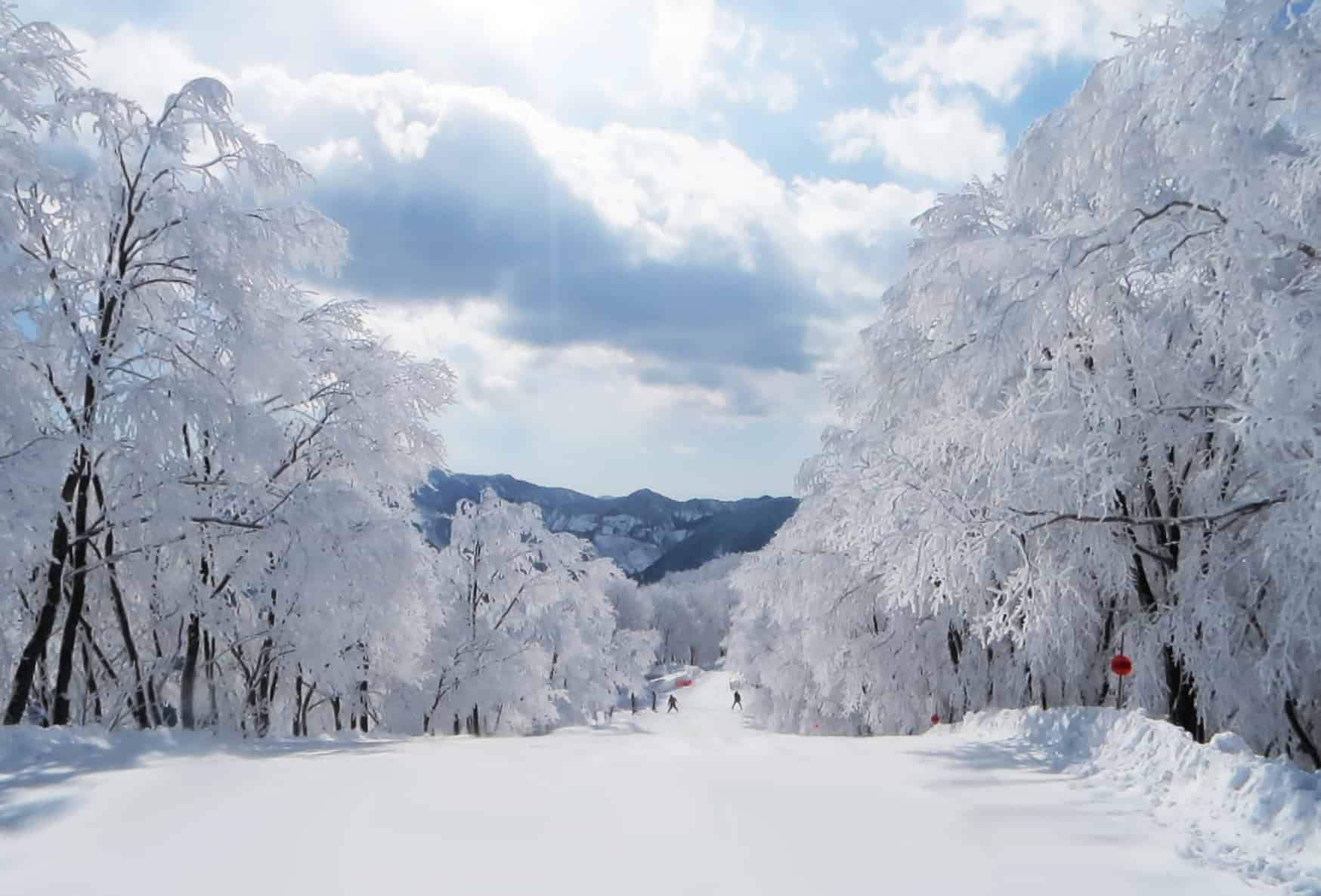 ski resorts - hakuba