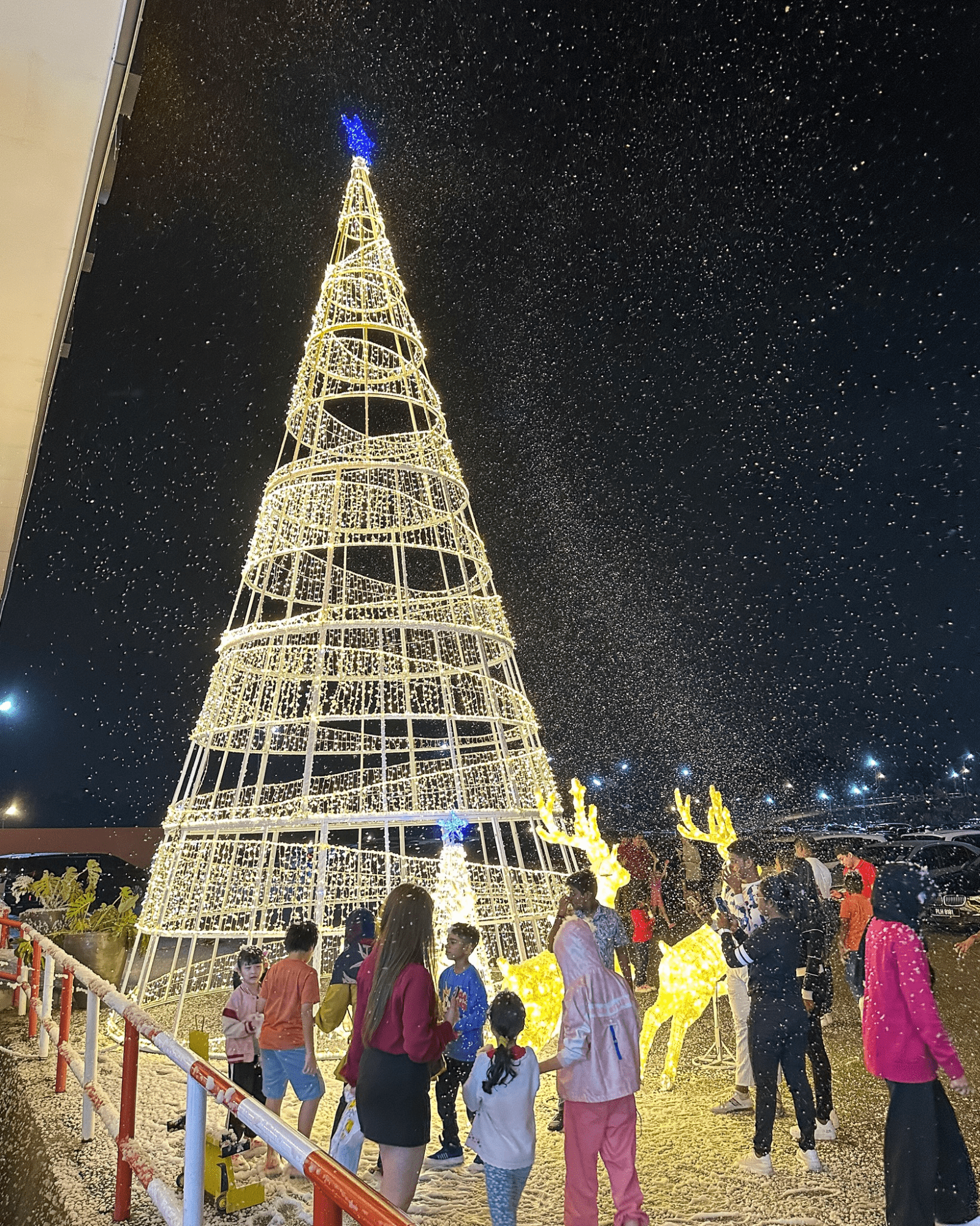 snow & snowfall events in malaysia - monkeys canopy