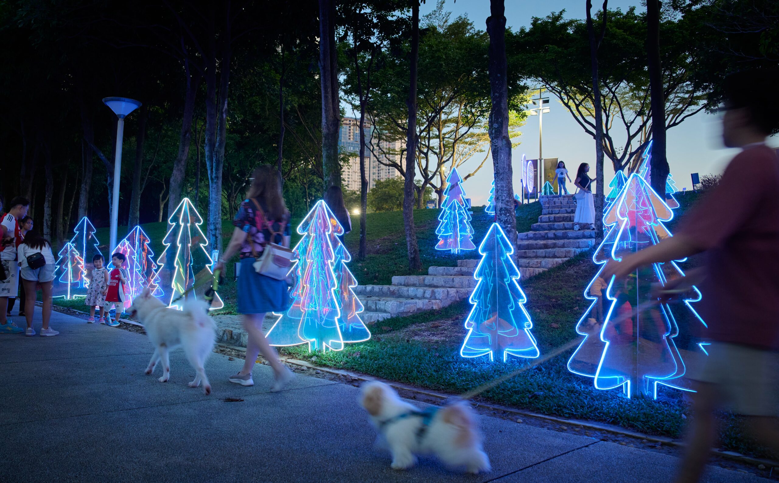 ParkCity Year-End Light Festival - trees