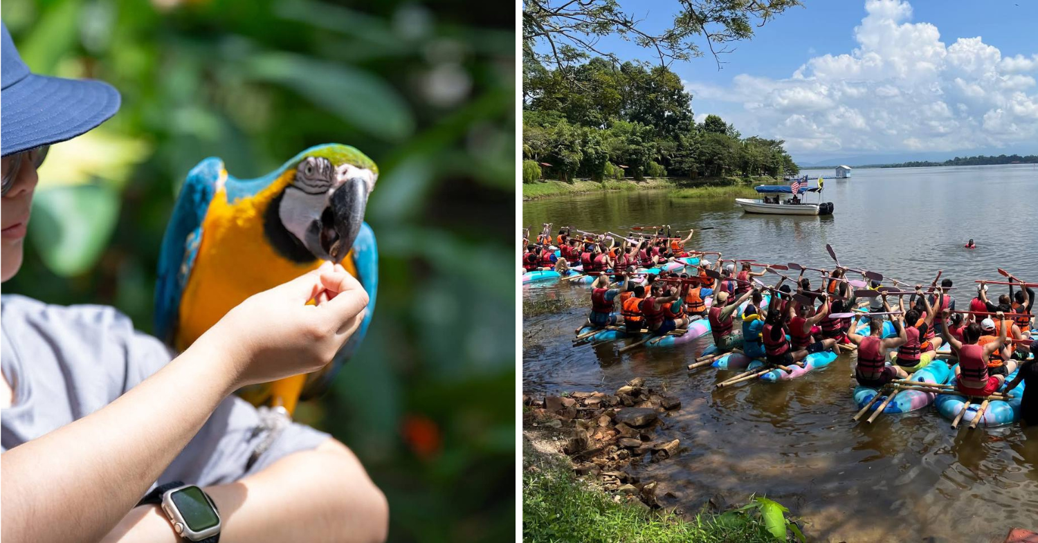 Family-Friendly Hotels & Staycations In Malaysia