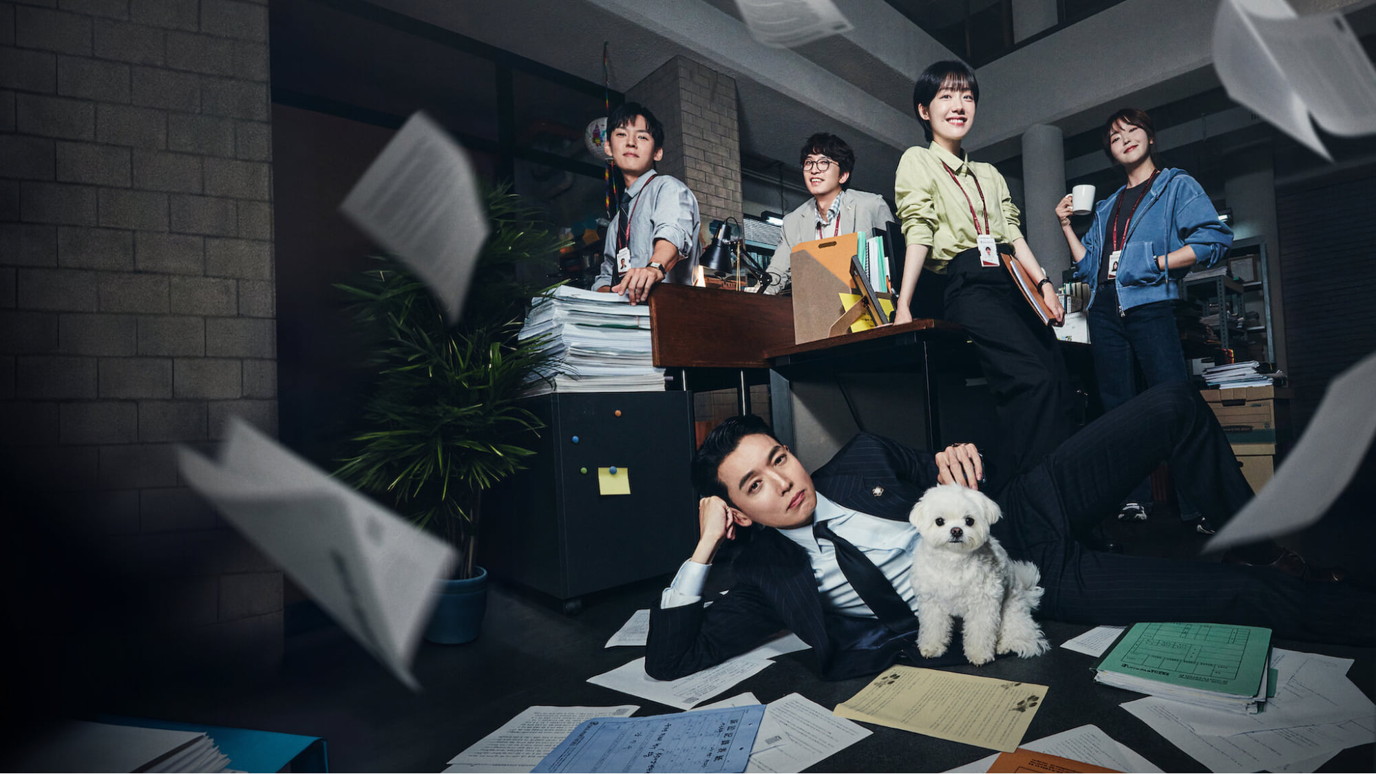 kdrama 2025 - pro bono