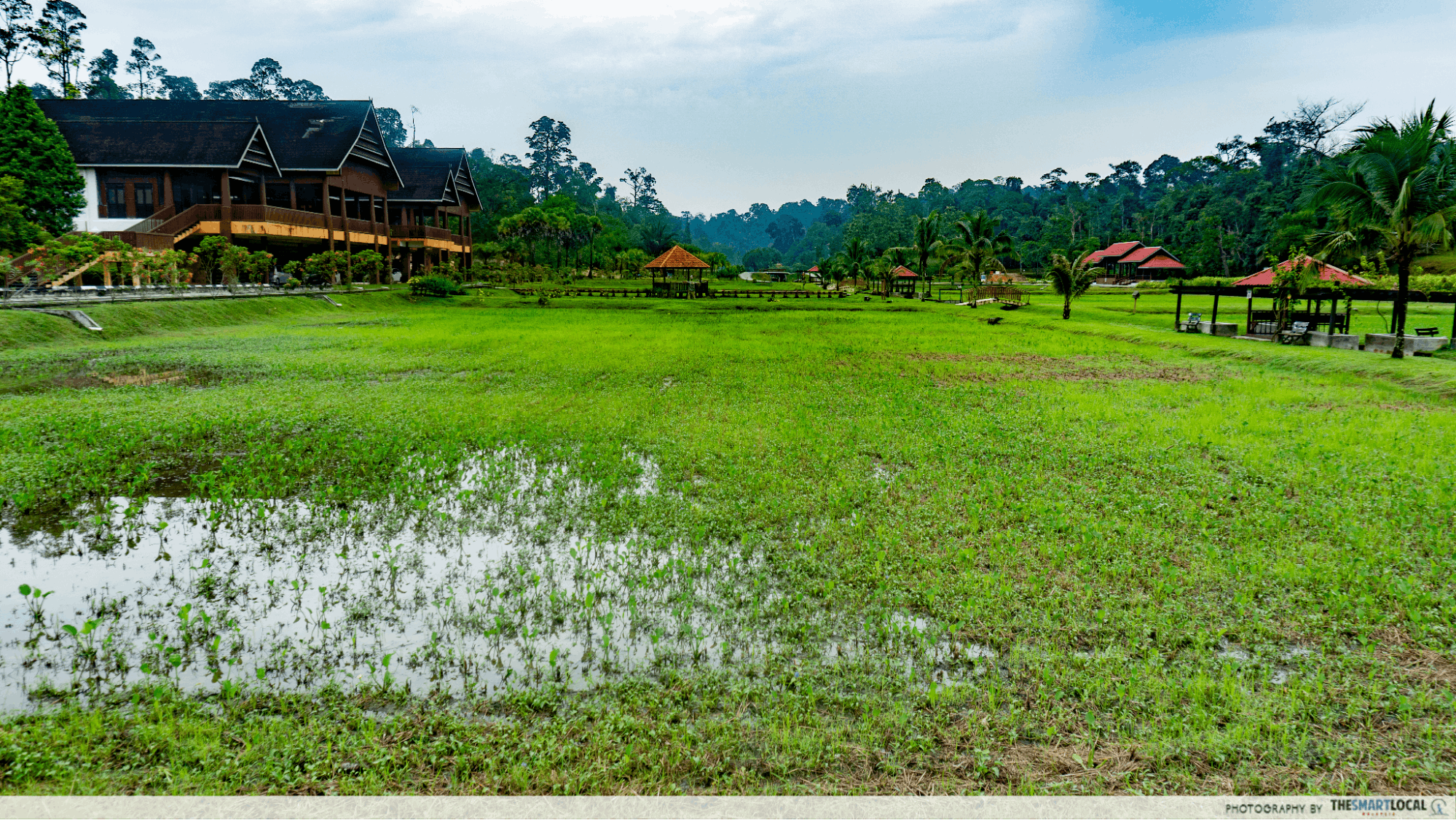 putters cafe - paddy field