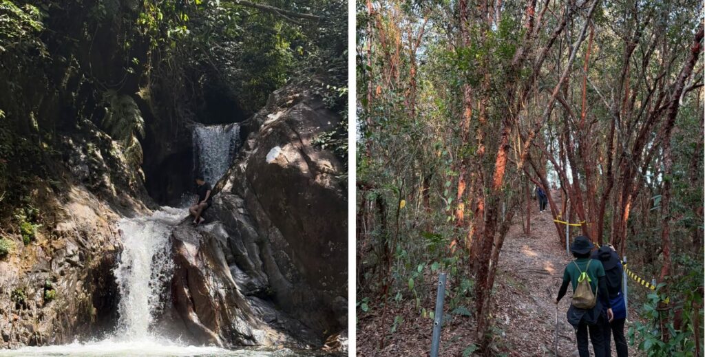 Activity & Hobby Clubs in Klang Valley-hiking with friends