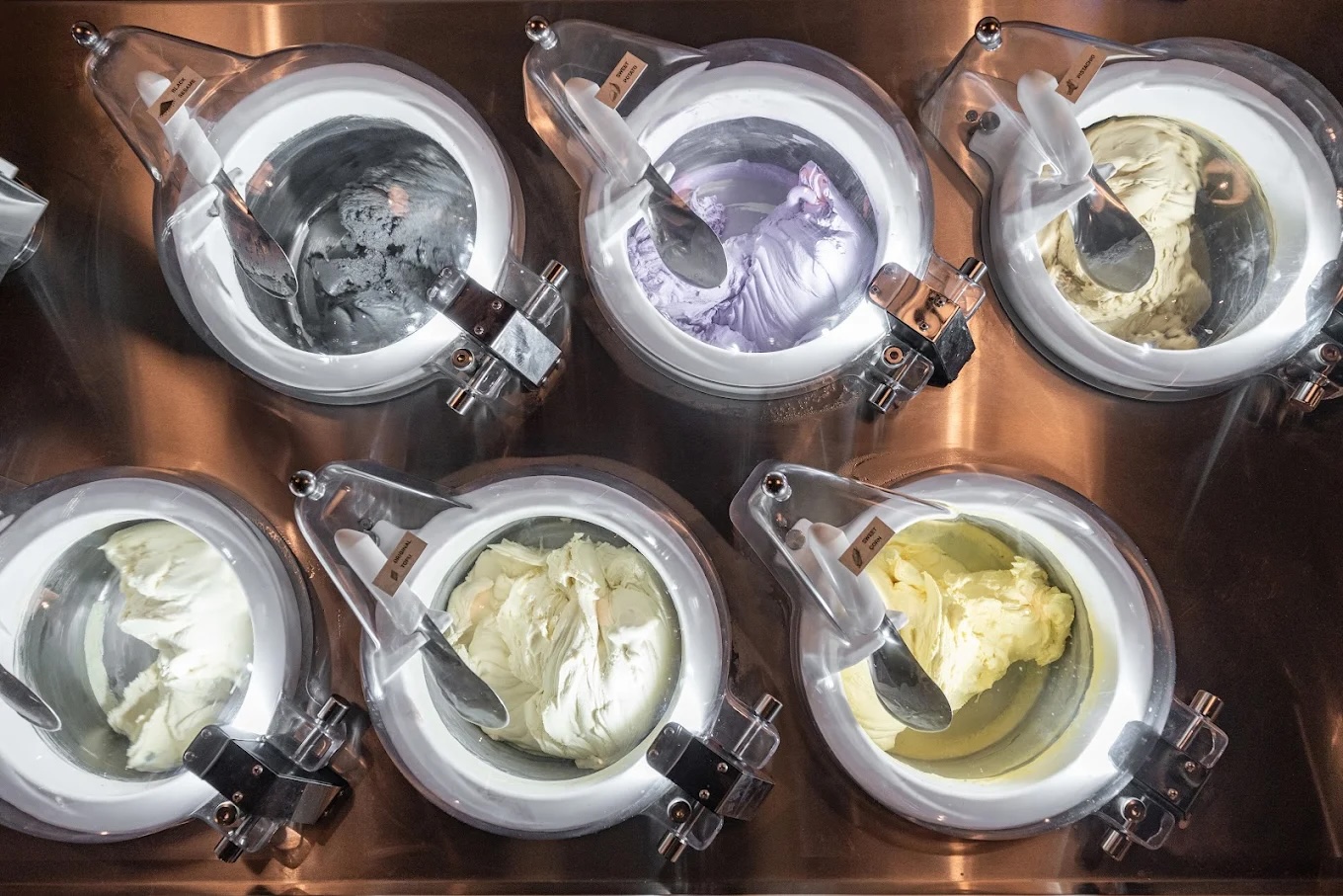 tofu g the exchange trx - freshly churned