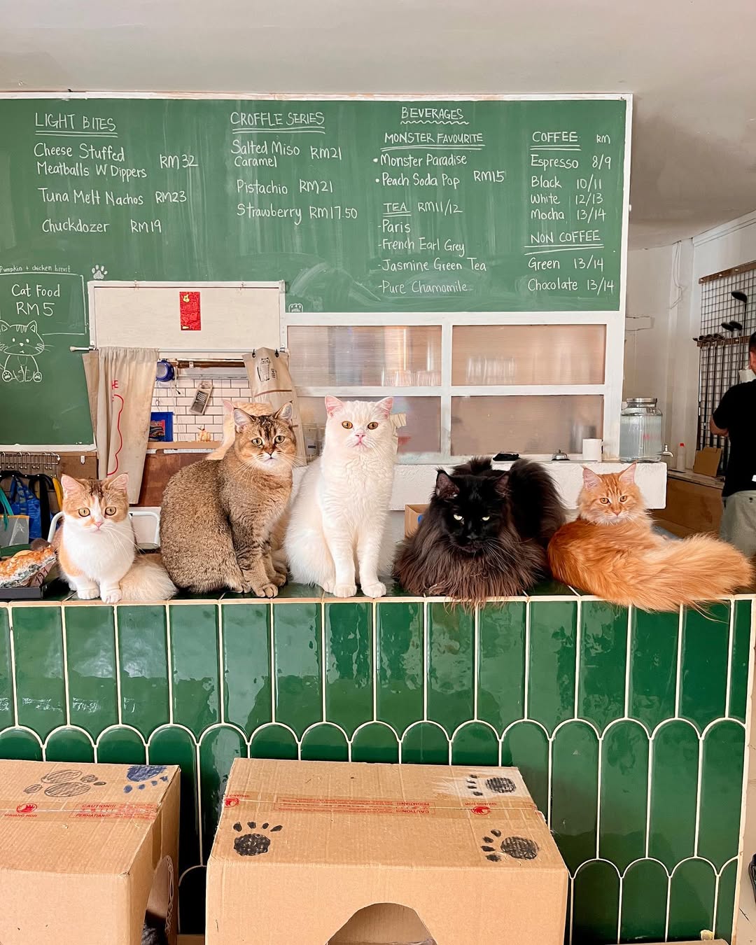 Pasar Seni cat cafe