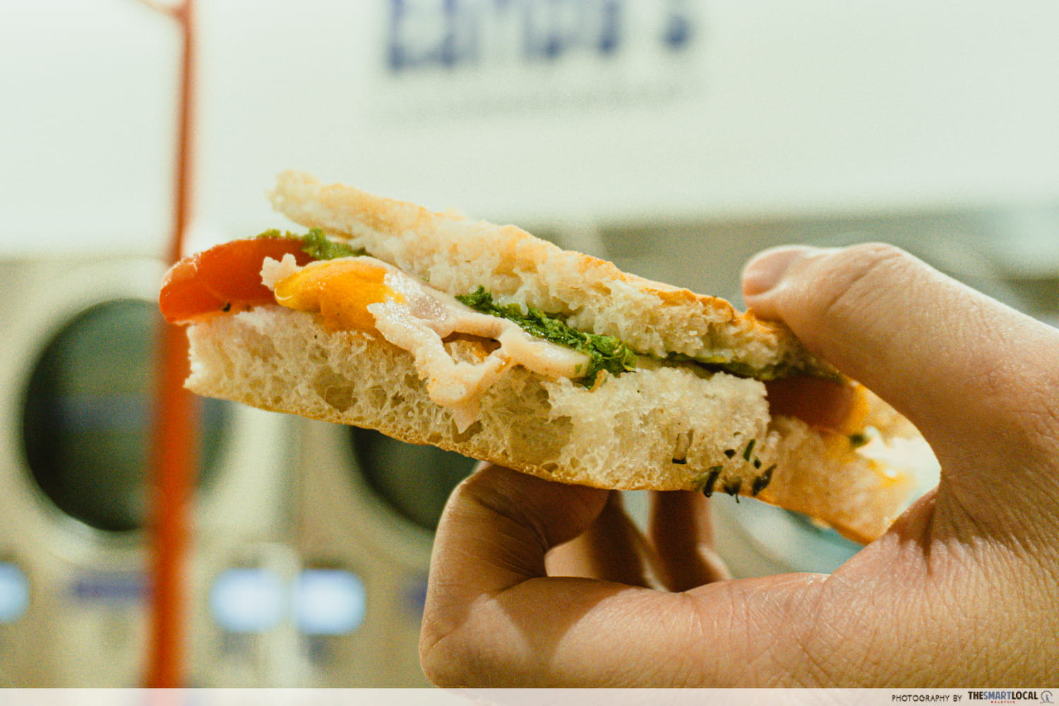 randy's laundromat - fungi business