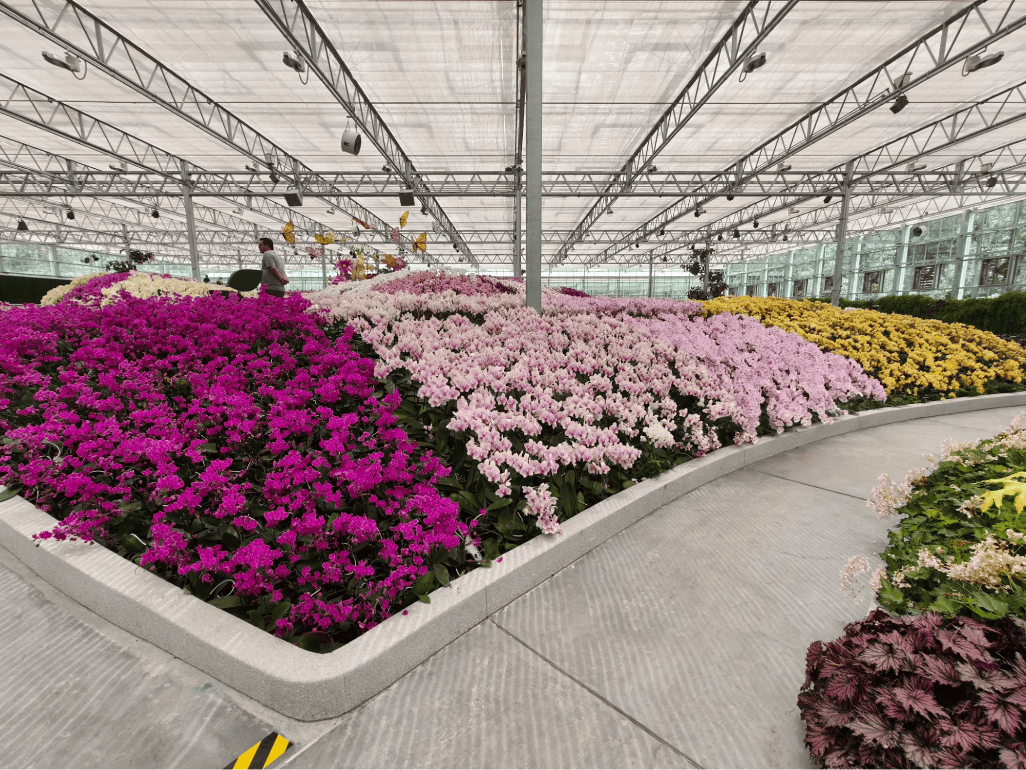 Flowers - BUNGA 2026 in Genting Highlands