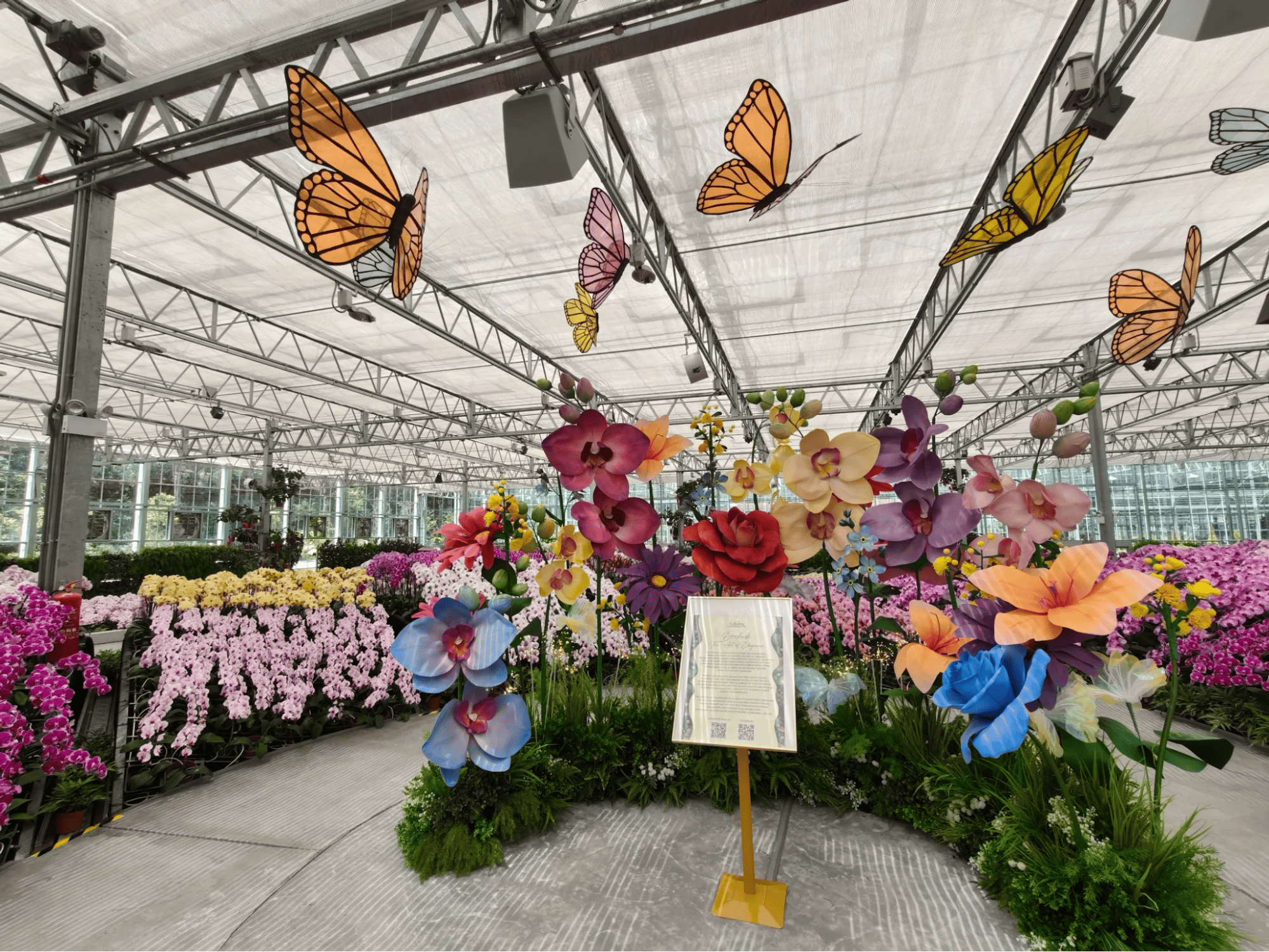 Orchids - BUNGA 2026 in Genting Highlands