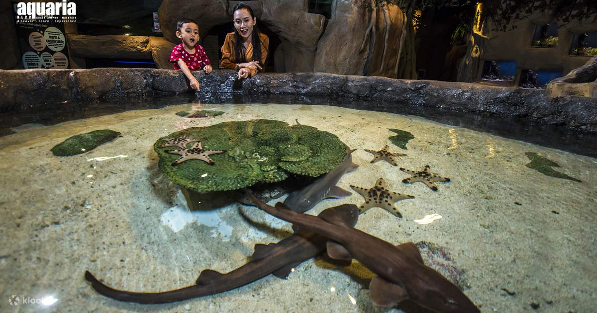 merdeka 2026 events & activities - aquaria