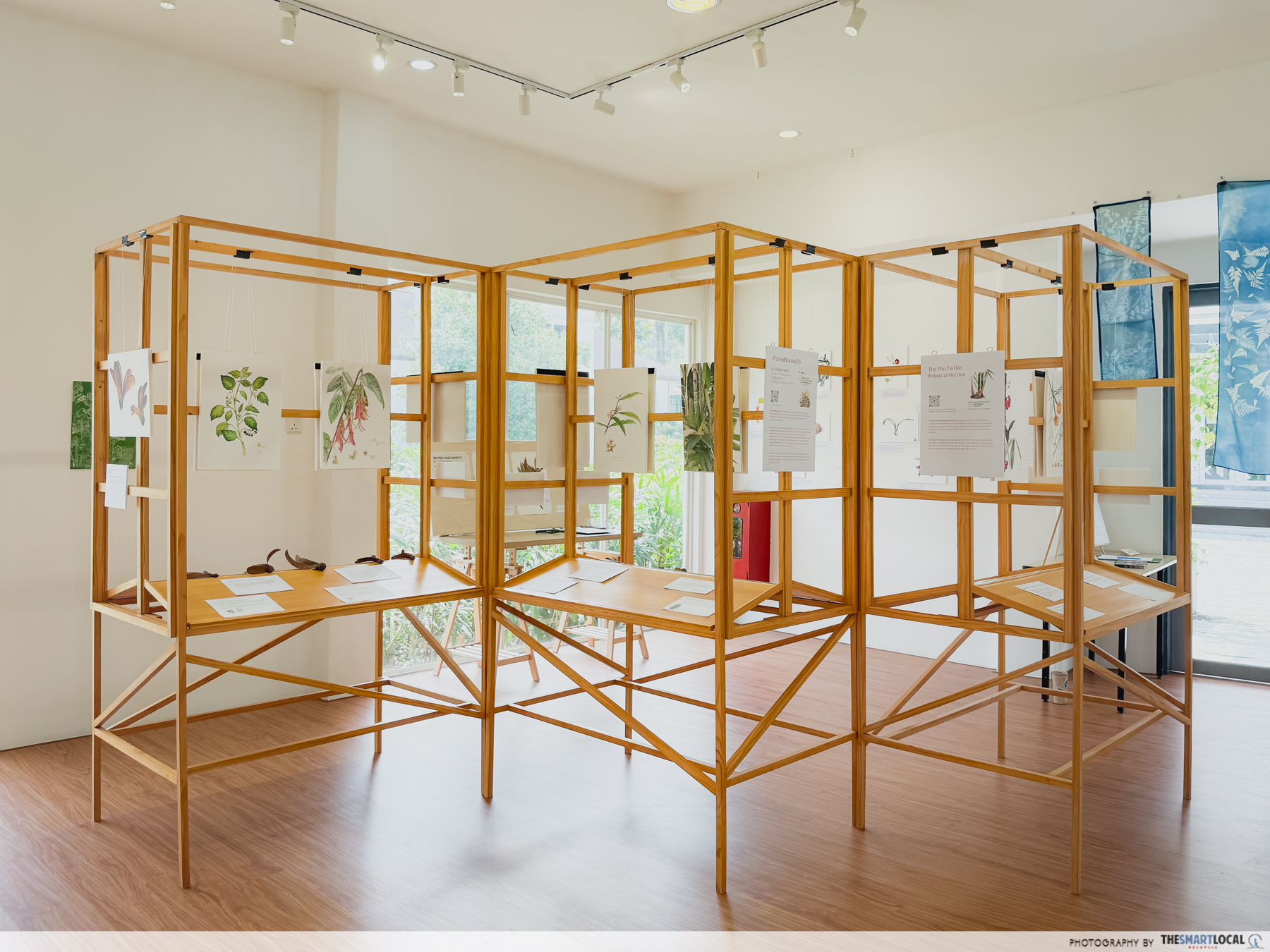 BOTANY OF BELONGING - GALLERY SPACE