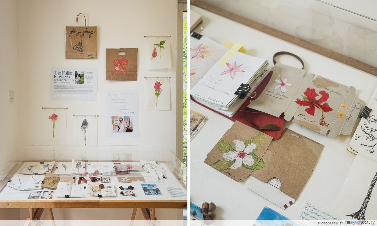 BOTANY OF BELONGING - BOTANICAL ART PRINTS