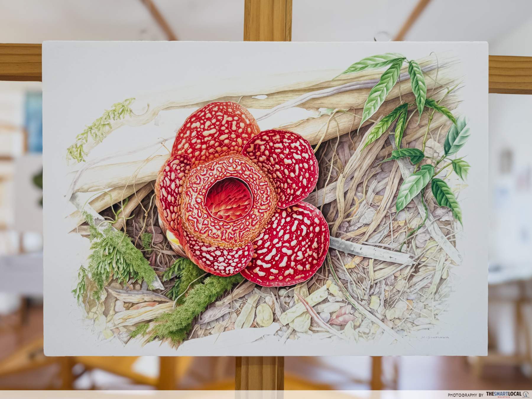 BOTANY OF BELONGING - BOTANICAL ART PRINTS