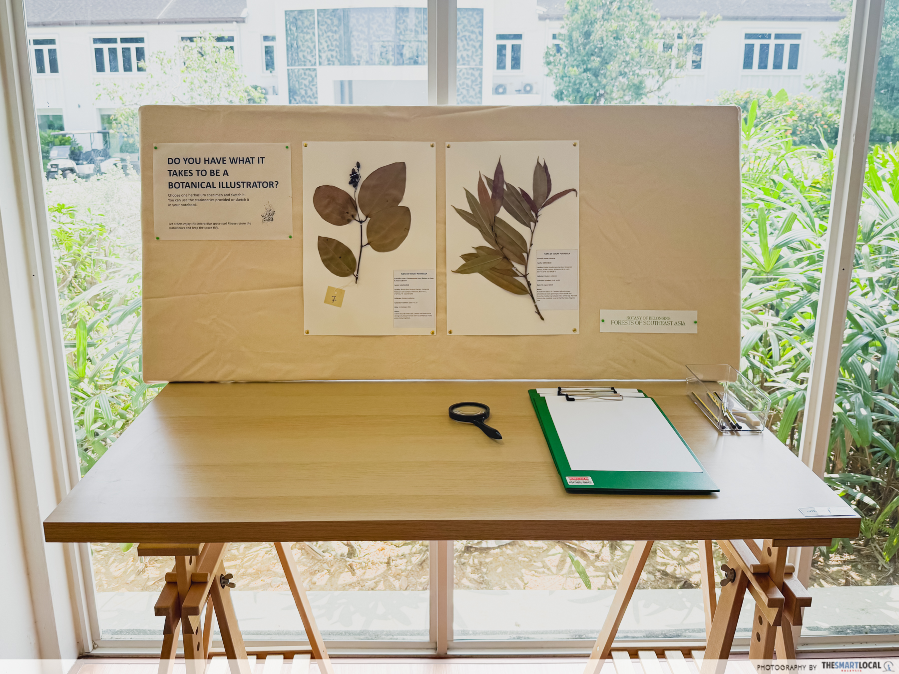 BOTANY OF BELONGING - INTERACTIVE ZONE