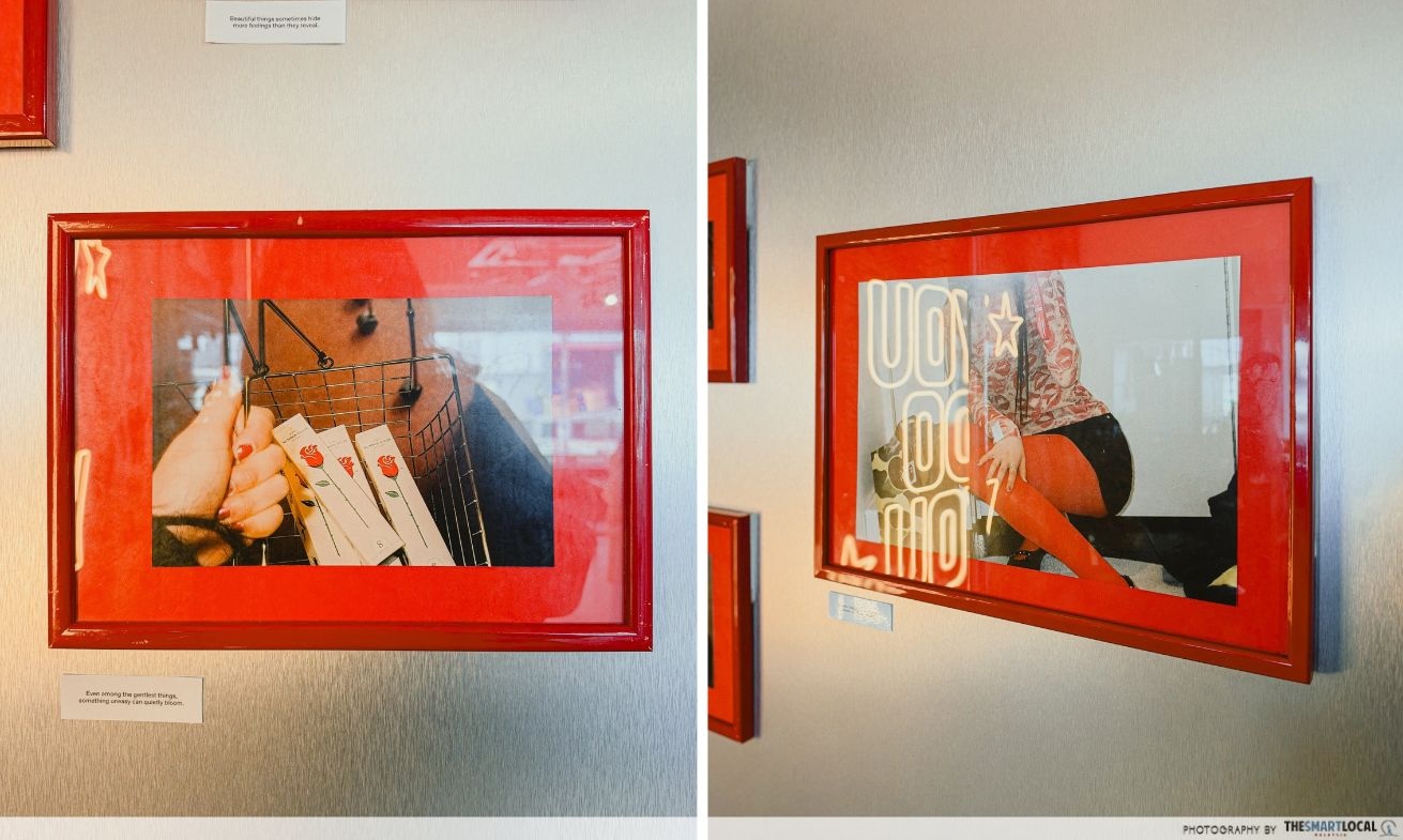 A Little of BOTH - photographs & notes by Yves - PHOTOS
